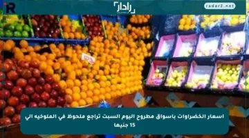 أسعار الخضراوات بأسواق مطروح اليوم السبت تراجع ملحوظ في الملوخية إلى 15 جنيها